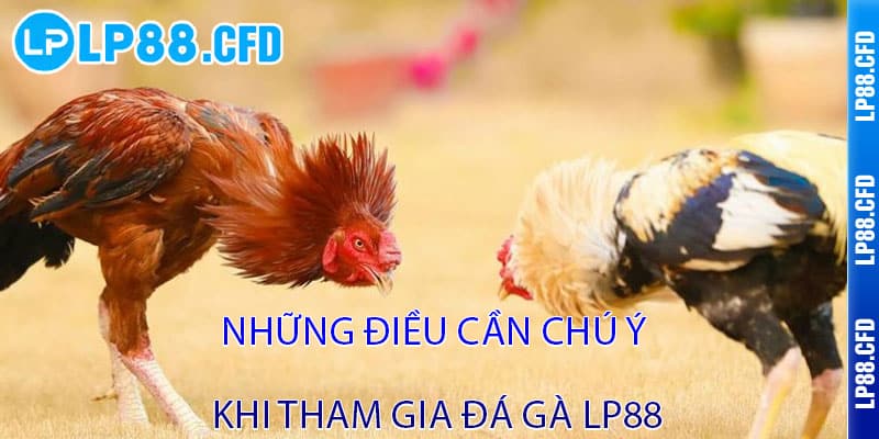 Đá Gà LP88 - Cược thật, thắng lớn, đam mê bùng cháy 3 Những điều cần chú ý khi tham gia Đá Gà LP88