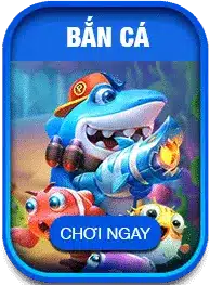 BANCA 1 1